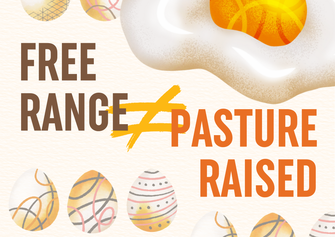 free range vs pasture raised graphic