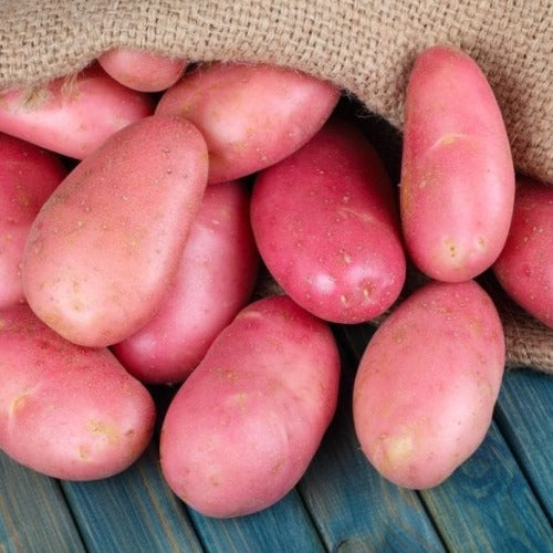 Organic Desiree Potatoes 2kg