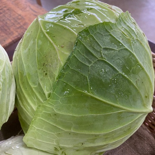 Organic Green Cabbage (approx. 3kg)