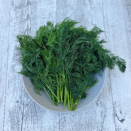 Organic Fresh Dill Bunch