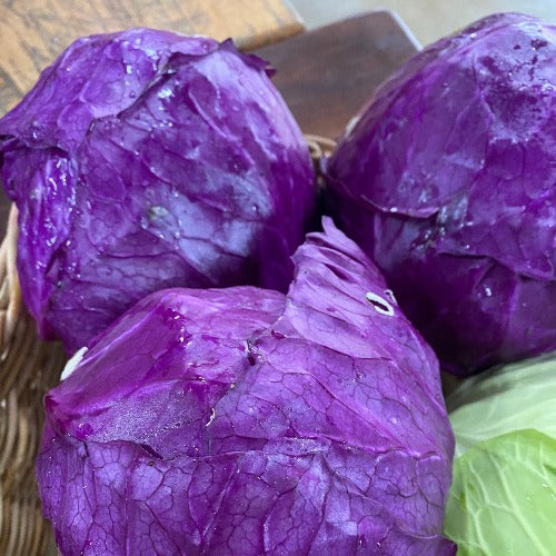 Organic Red Cabbage (approx. 1.5kg)
