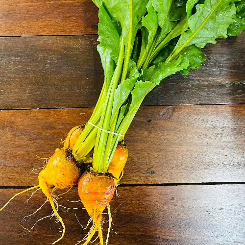 Organic Golden Beetroot Bunch