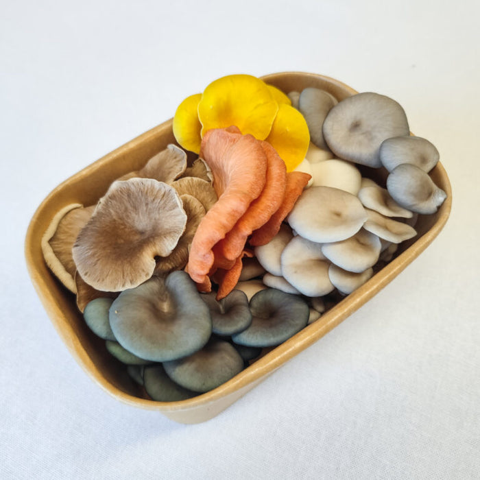 Oyster Mixed Mushrooms 200g