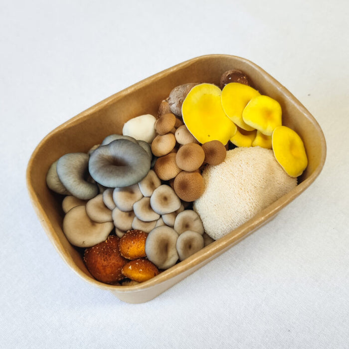 Premium Mixed Mushrooms 200g