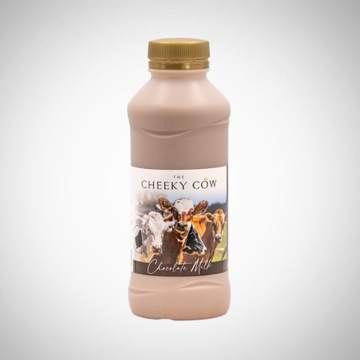 Cheeky Cow Chocolate Milk 500ml