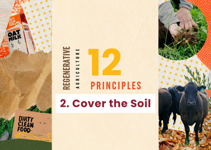 Dirty Clean Food regenerative agriculture 12 principles