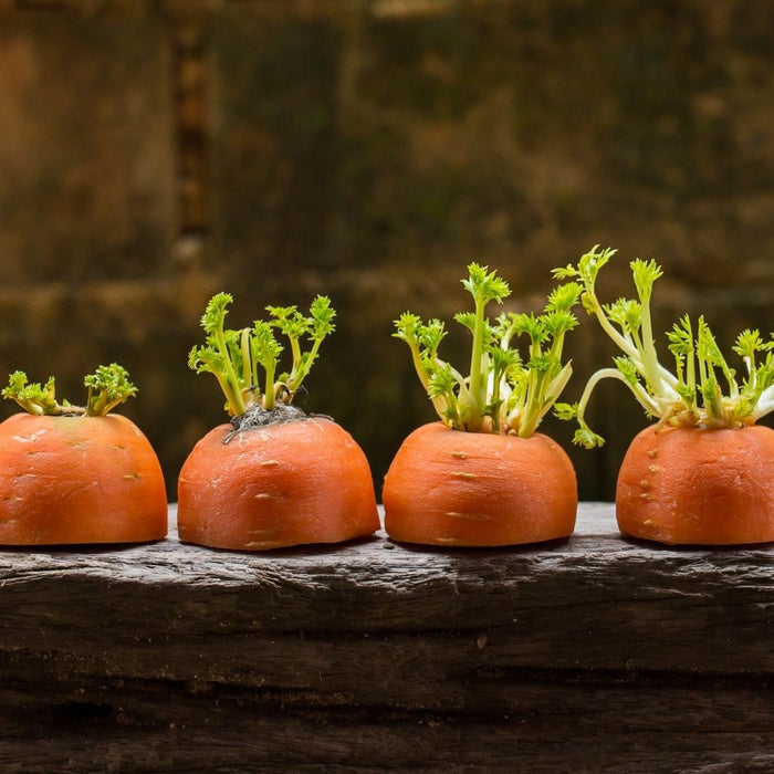 Making the most of your fruit and veg