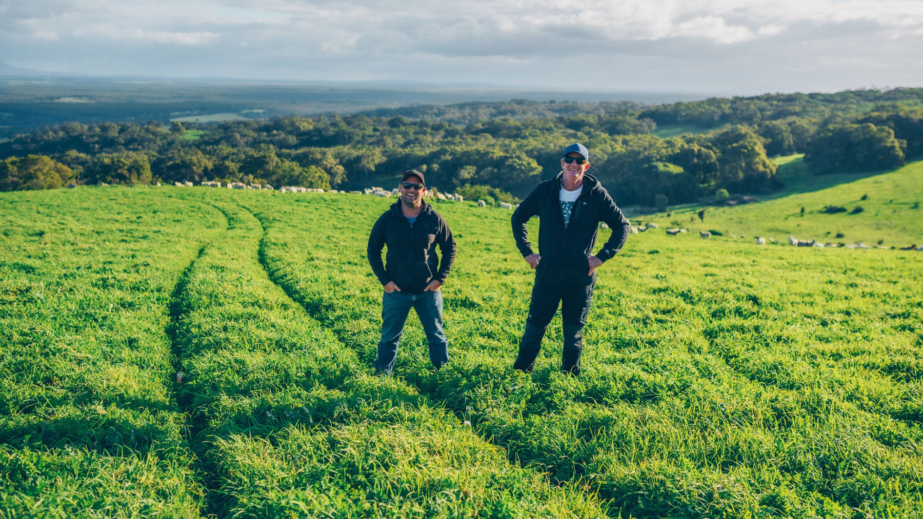 Col Bowey & Ash Baldwin – Green Range Lamb