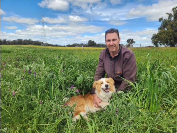 Building Soil - Multi Species Cropping in an Oat Paddock