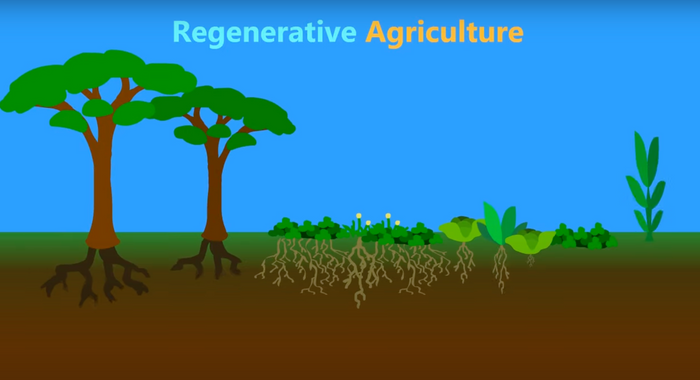 Why Regenerative Farming - and How?