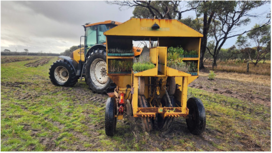 A month of Tree Planting