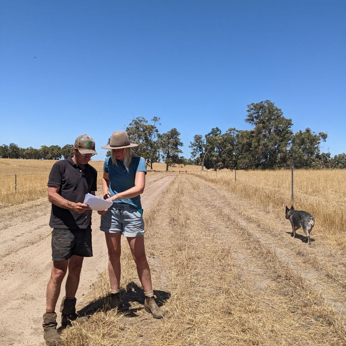 Tree Planting Update