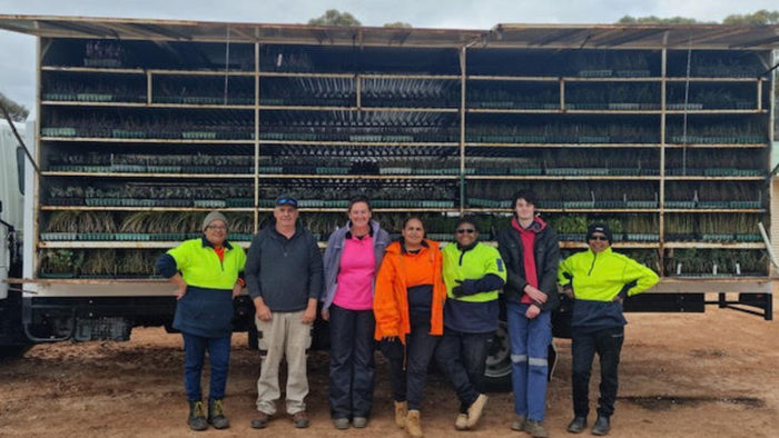 Update on Dirty Clean Food's Regenerative Farmer Tree Project.