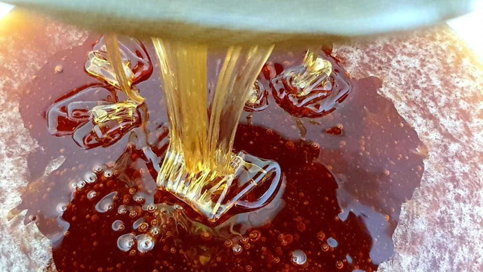 Introducing.. The Wandering Bee! 