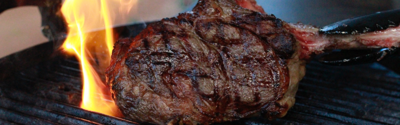 Carnivore Friendly