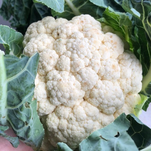 Organic Cauliflower (approx. 1.2kg)