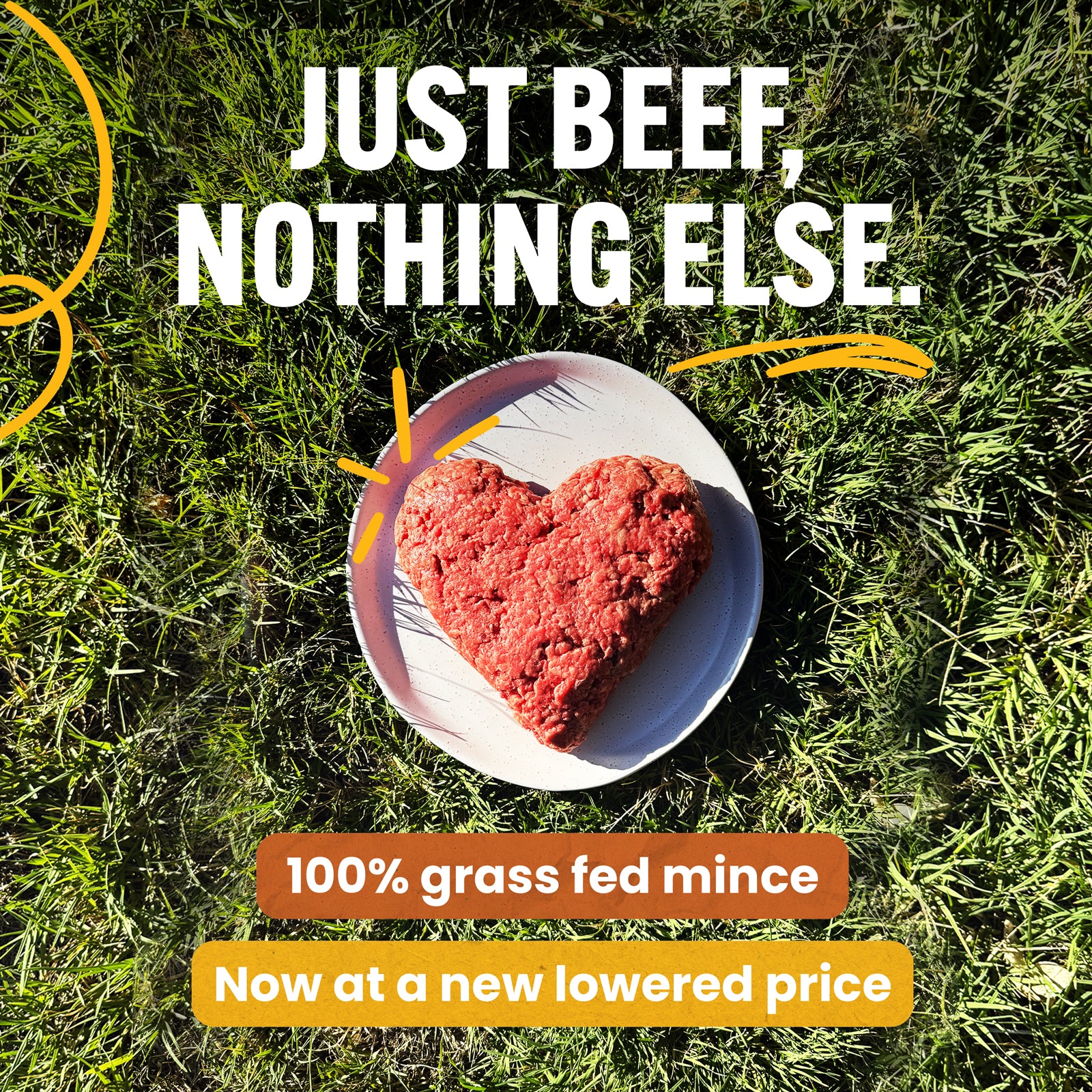 Beef Mince- Buy & Save