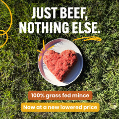 Beef Mince- Buy & Save