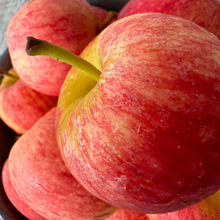 Gala Apples - 2kg bag