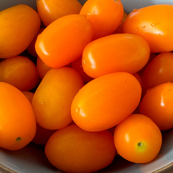 Organic Orange Grape Tomato Punnet (250g)