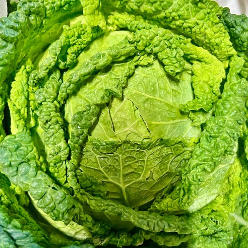 Organic Savoy Cabbage (approx. 1.5kg)