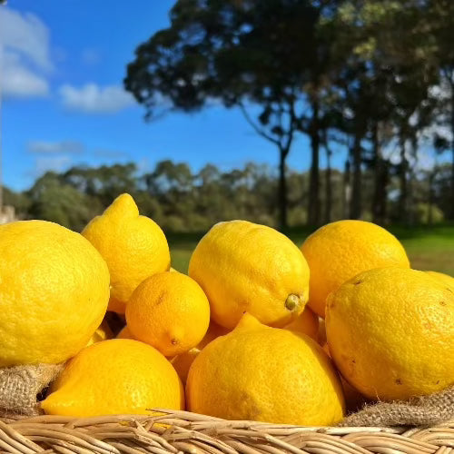 Organic lemons 1kg