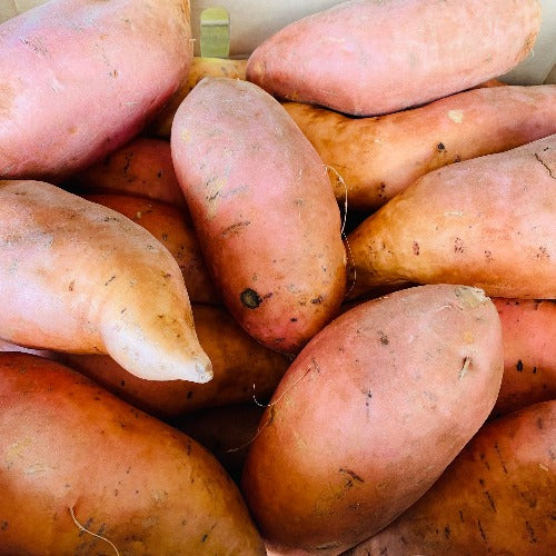 Organic Sweet Potato (1.5kg bag)