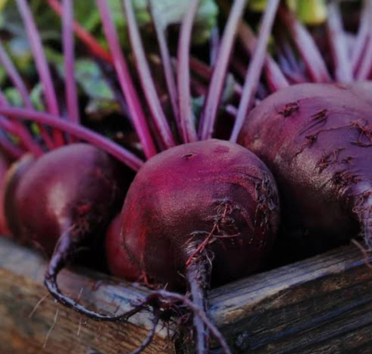 Dehydrated Beetroot Powder - 100g