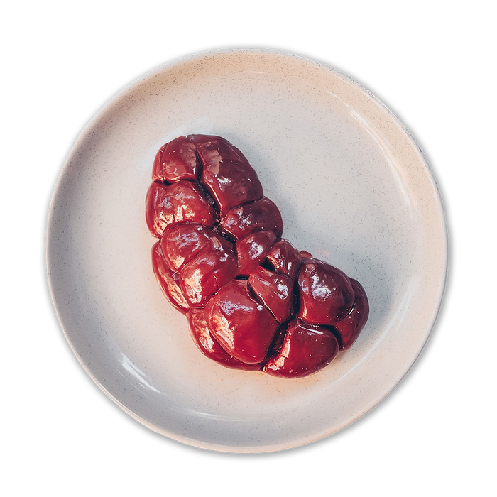 Beef Kidney Whole