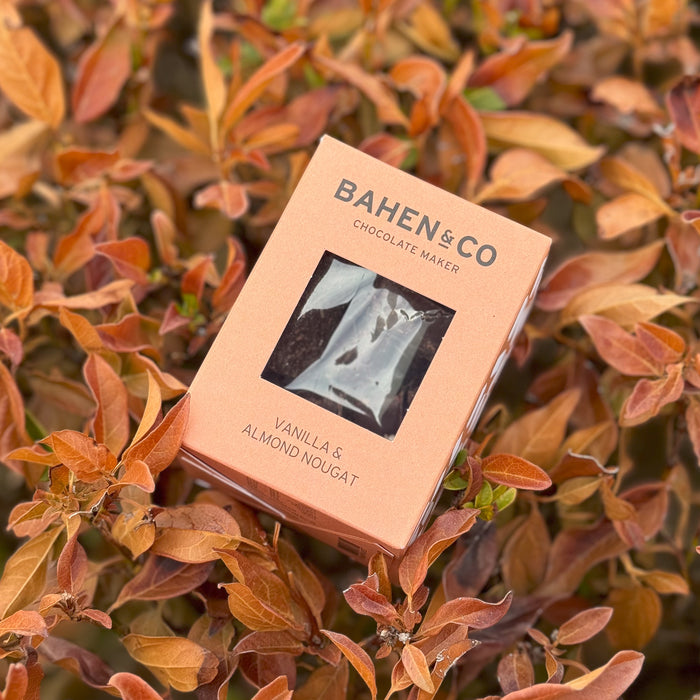 Vanilla & Almond Nougat - Coated Chocolate 100g