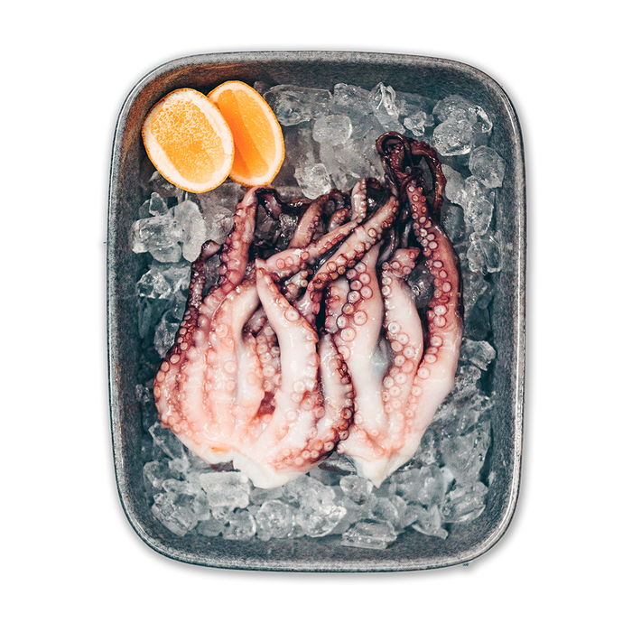 Octopus
