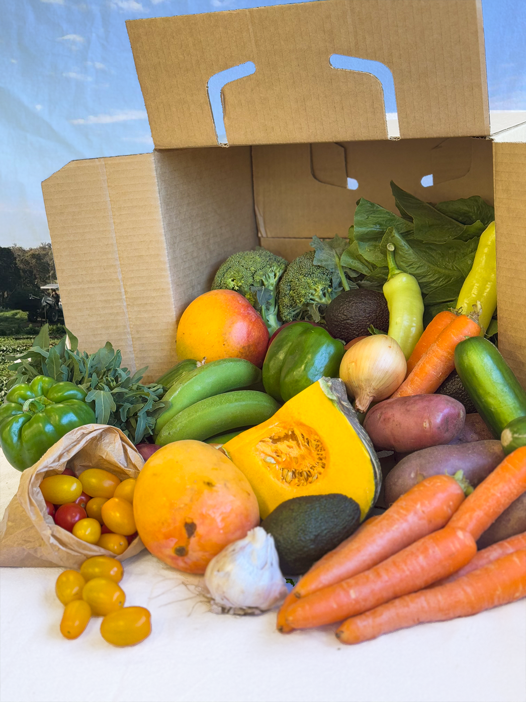 Certified Organic Produce Box - Large