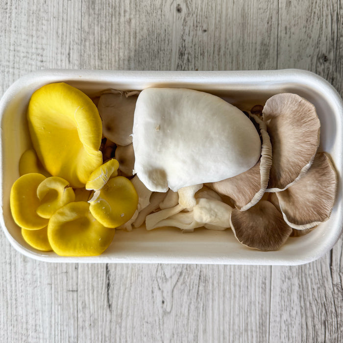 Oyster Mushroom Mix (150g)