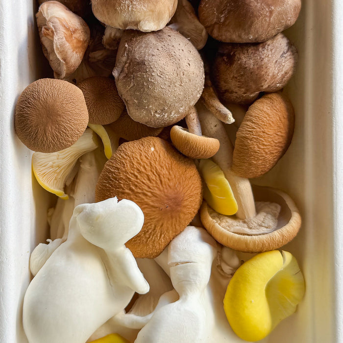 Premium Mixed Mushrooms (150g)