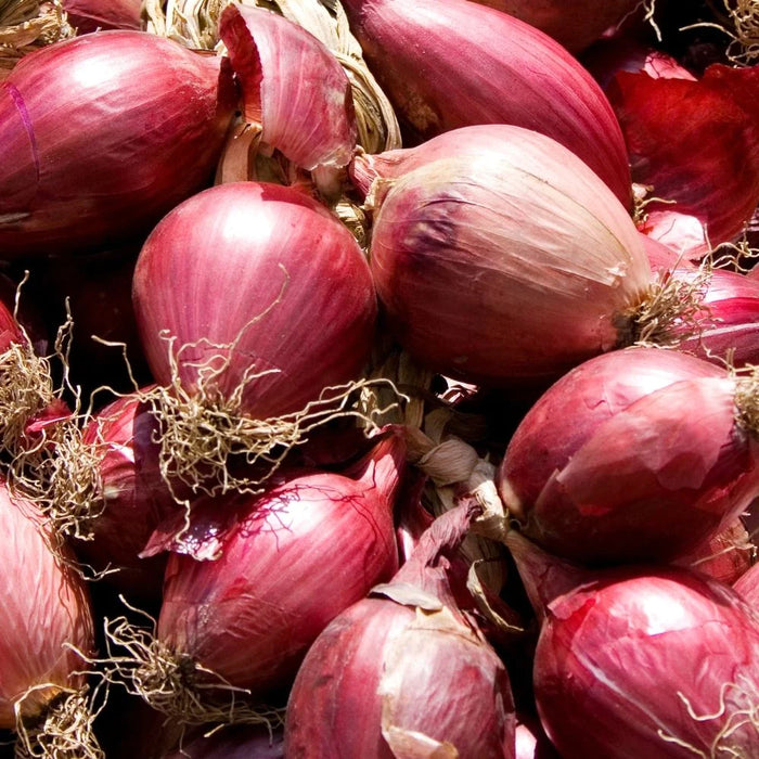 Organic Red Onions (500g or 1kg bag)