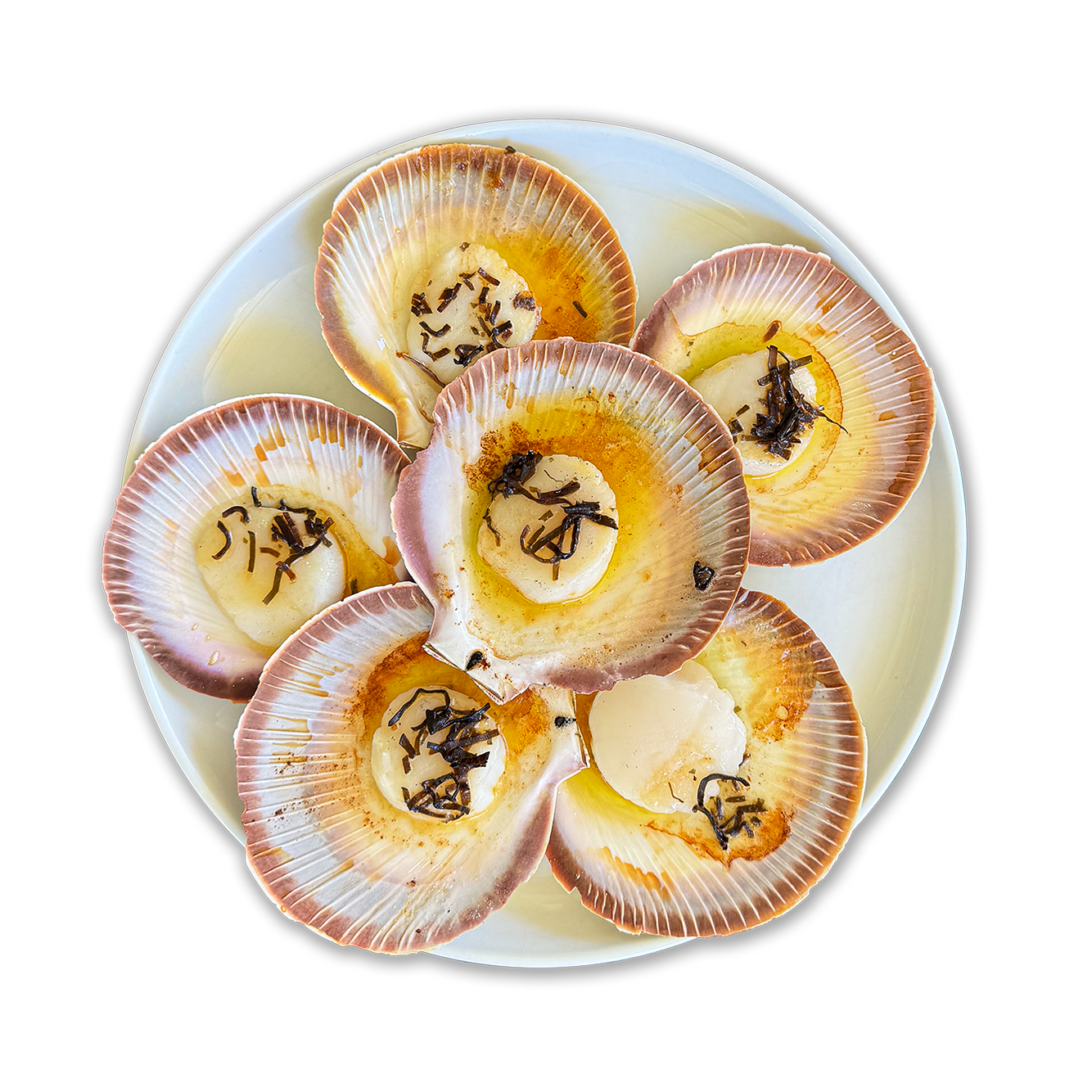 Shark Bay Half Shell Scallops - 1 dozen