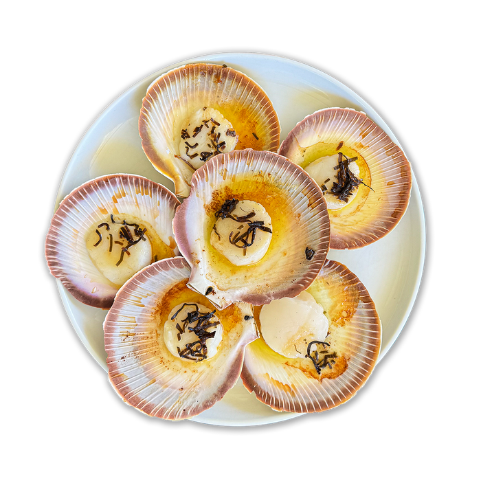 Shark Bay Half Shell Scallops - 1 dozen