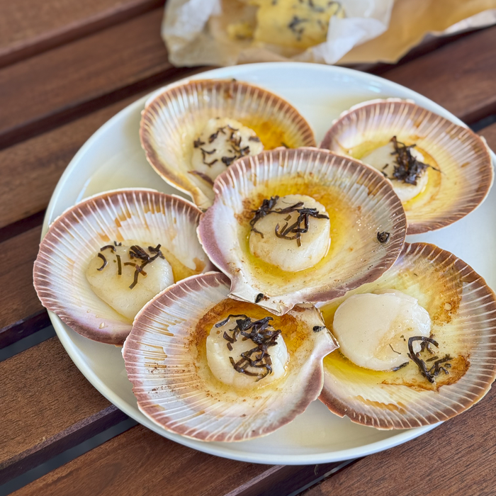 Shark Bay Half Shell Scallops - 1 dozen