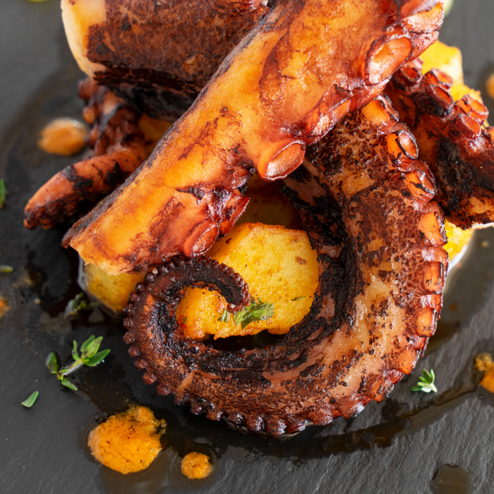 Octopus