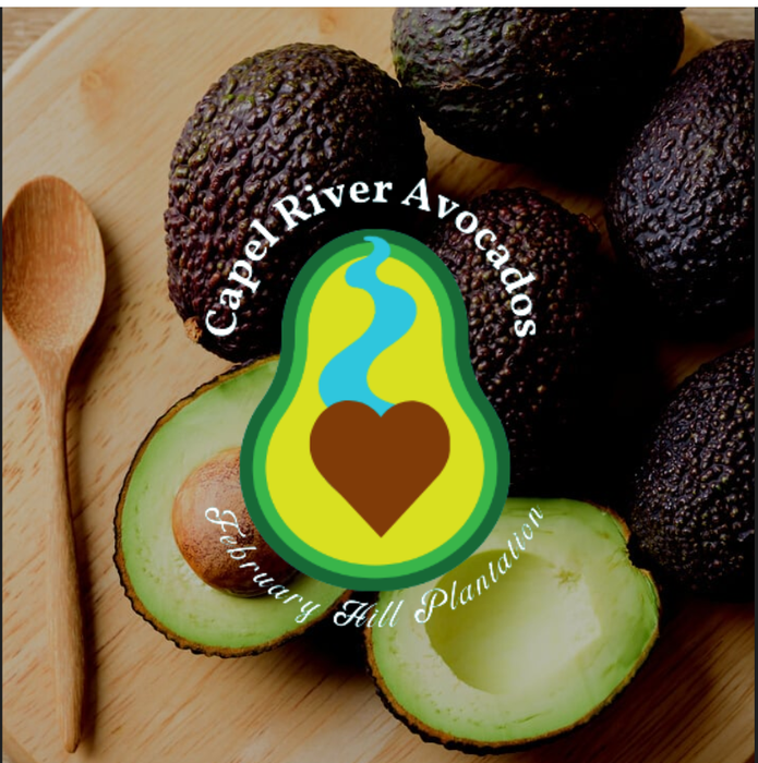 Capel River Spray Free Avocados (Hass, 5 per bag)