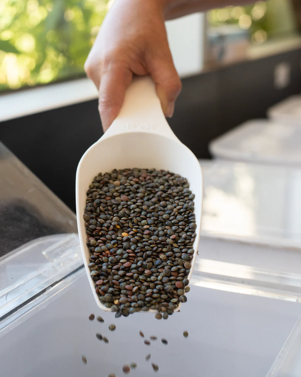 Mount Zero Green Lentils - 500g