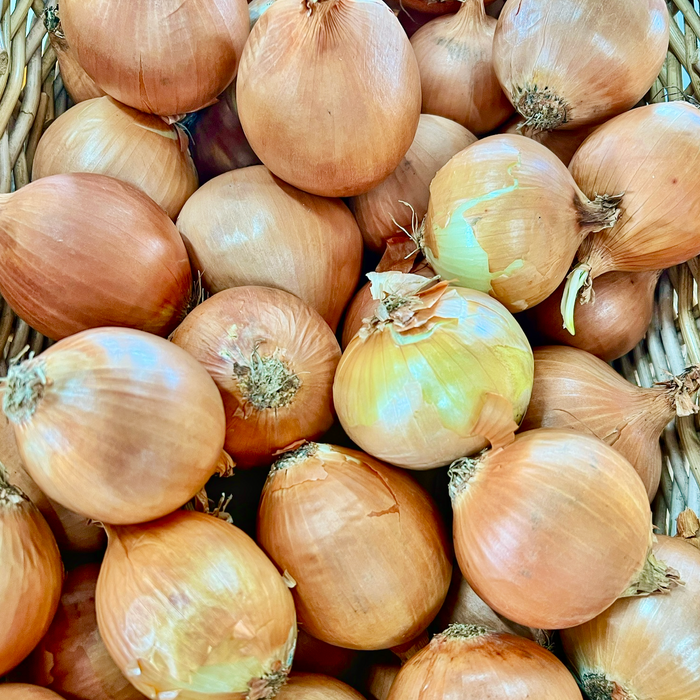 Organic Brown Onions (500g or 1kg bag)