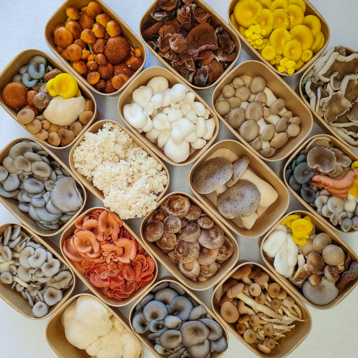 Premium Mixed Mushrooms 200g