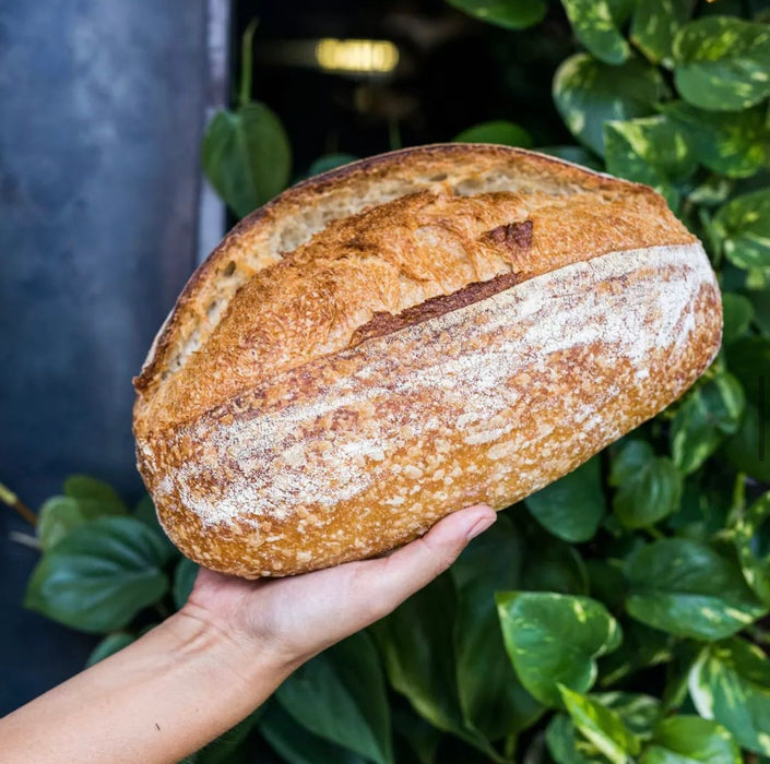 Sourdough Sliced (950g Dough Weight)