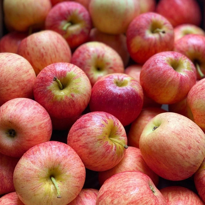 Gala Apples - 2kg bag