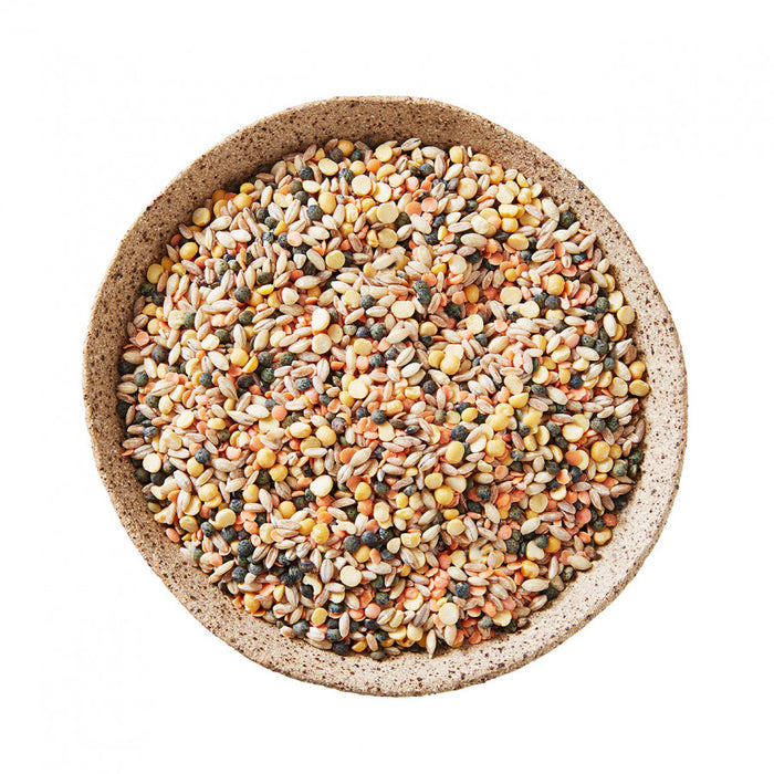 Mount Zero Biodynamic Soup Mix 500g